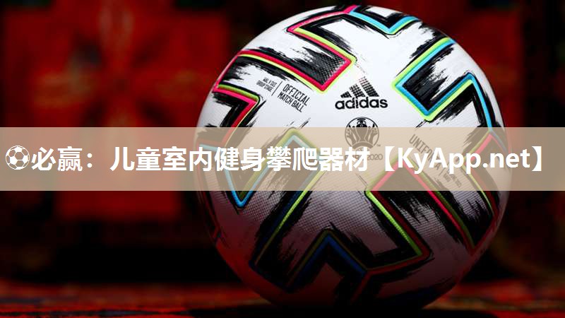 ⚽必赢：儿童室内健身攀爬器材